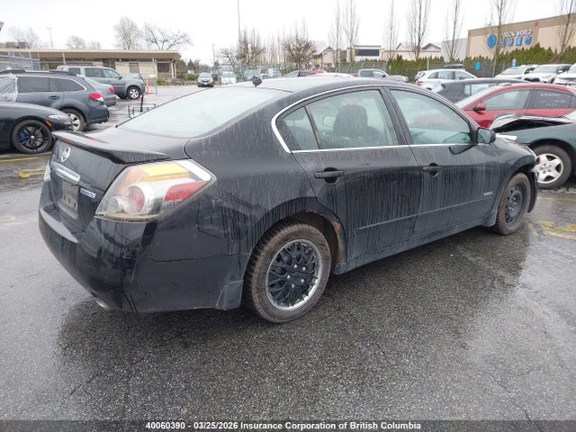 2009 Nissan Altima Hybrid მანქანა იყიდება აუქციონზე, vin: 1N4CL21E29C178486, აუქციონის ნომერი: 40060390