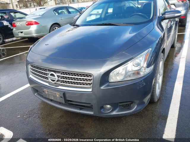 Продажа на аукционе авто 2009 Nissan Maxima S/sv, vin: 1N4AA51EX9C857484, номер лота: 40060600