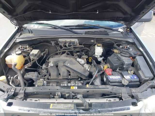 Продаж на аукціоні авто 2008 Ford Escape Xlt, vin: 1FMCU931X8KA11433, номер лоту: 40060679