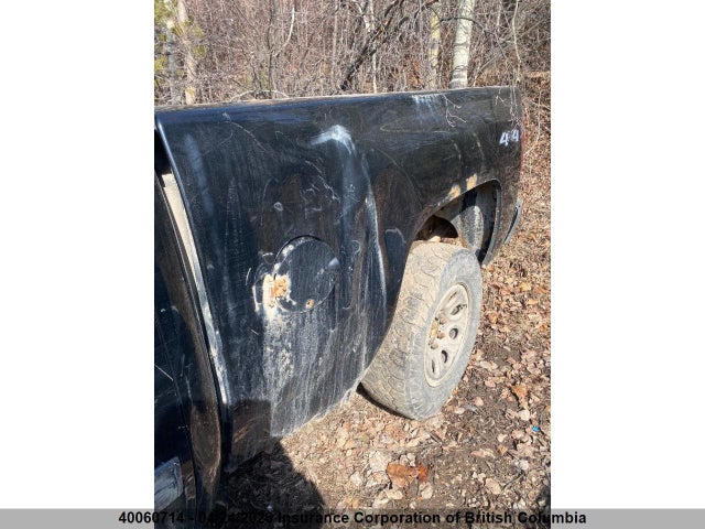 2009 Chevrolet Silverado K1500 მანქანა იყიდება აუქციონზე, vin: 1GCEK19C09Z256442, აუქციონის ნომერი: 40060714