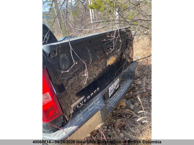 2009 Chevrolet Silverado K1500 მანქანა იყიდება აუქციონზე, vin: 1GCEK19C09Z256442, აუქციონის ნომერი: 40060714