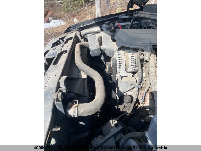 2009 Chevrolet Silverado K1500 მანქანა იყიდება აუქციონზე, vin: 1GCEK19C09Z256442, აუქციონის ნომერი: 40060714