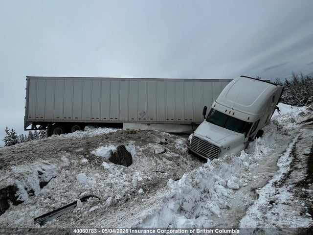2015 Freightliner Cascadia 125 მანქანა იყიდება აუქციონზე, vin: 1FUJGLD52FLGE6176, აუქციონის ნომერი: 40060783
