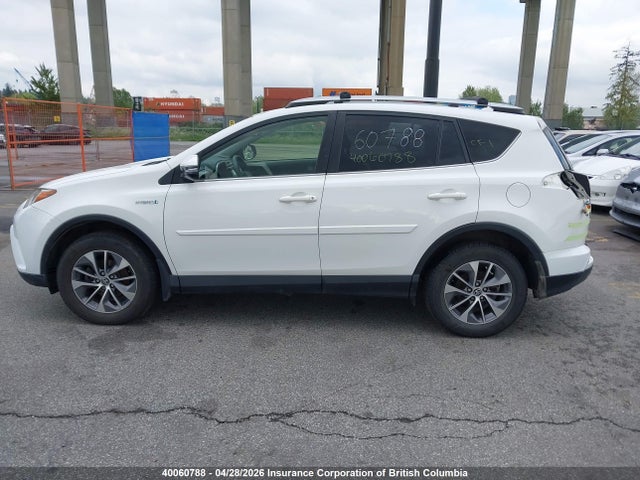 JTMRJREV4JD235640 Toyota RAV4