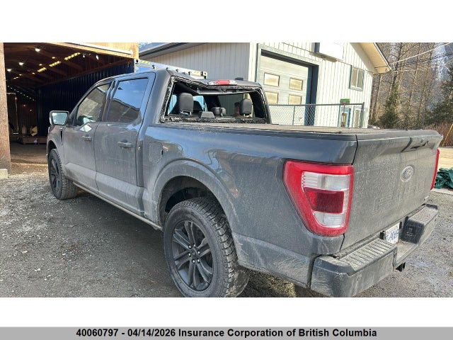2021 Ford F150 მანქანა იყიდება აუქციონზე, vin: 1FTEW1EP9MFB66388, აუქციონის ნომერი: 40060797