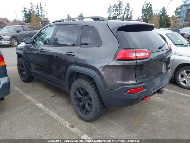 1C4PJMBS6HW561829 Jeep Cherokee Trailhawk