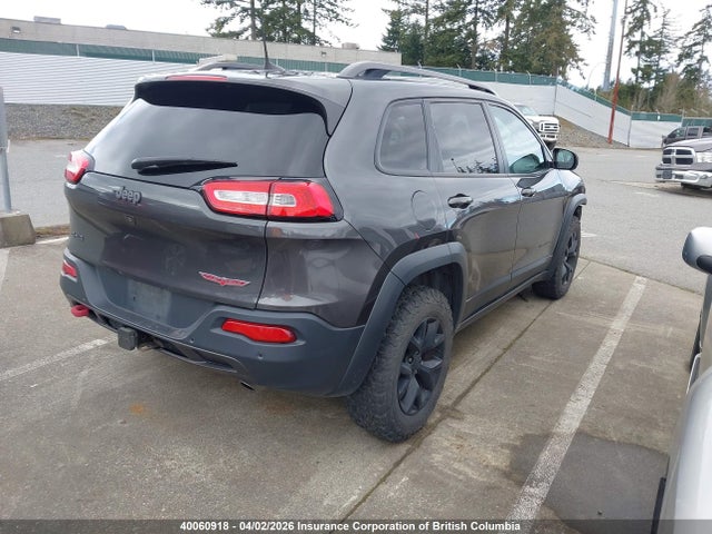 1C4PJMBS6HW561829 Jeep Cherokee Trailhawk