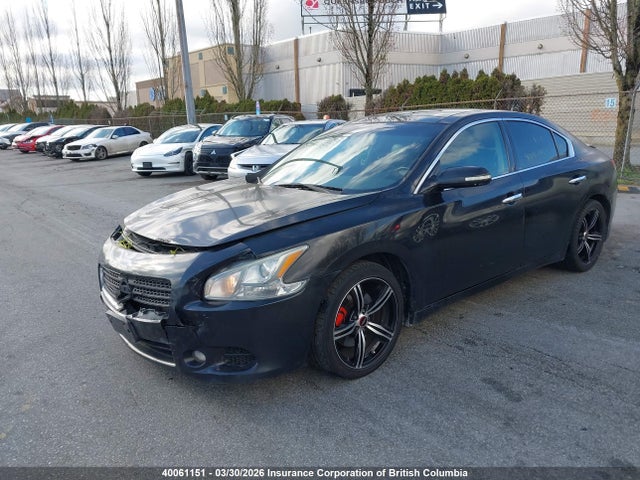 Продаж на аукціоні авто 2009 Nissan Maxima S/sv, vin: 1N4AA51E99C830678, номер лоту: 40061151
