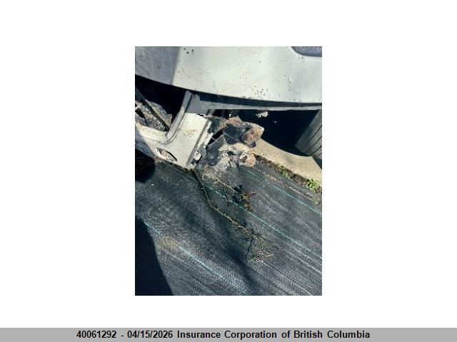 International Lt625 2019 3HSDZAPRXKN039102 Image 6