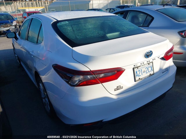 Aukcja sprzedaży 2023 Toyota Camry Le, vin: 4T1C31AK9PU613579, numer aukcji: 40059548
