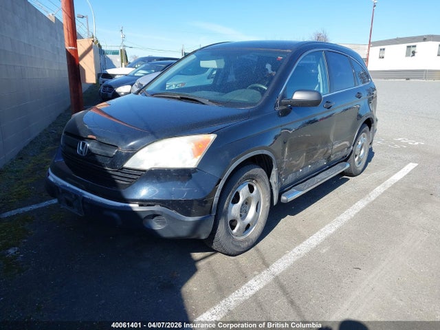 Продаж на аукціоні авто 2007 Honda Cr-v, vin: 5J6RE38307L800423, номер лоту: 40061401