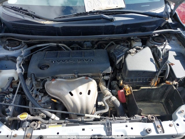 40060981 :رقم المزاد ، 2T1KE40E09C012729 vin ، 2009 Toyota Corolla Matrix S مزاد بيع