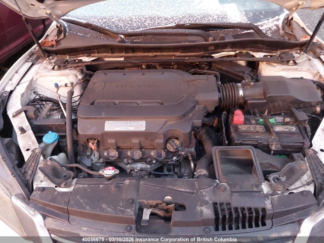 2013 Honda Accord Exl მანქანა იყიდება აუქციონზე, vin: 1HGCR3F85DA800649, აუქციონის ნომერი: 40056675