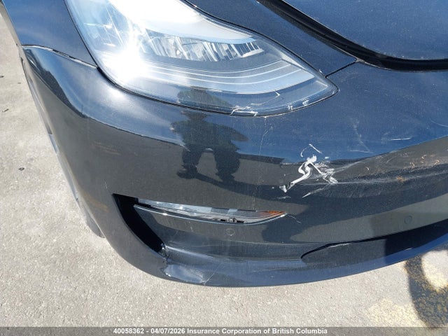 40058362 :رقم المزاد ، 5YJ3E1EA3KF395978 vin ، 2019 Tesla Model 3 مزاد بيع