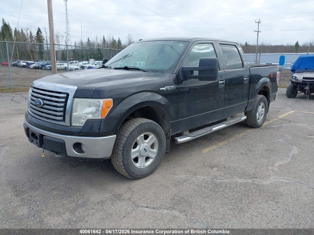 Продаж на аукціоні авто 2010 Ford F150, vin: 1FTEW1E84AFA38841, номер лоту: 40061642