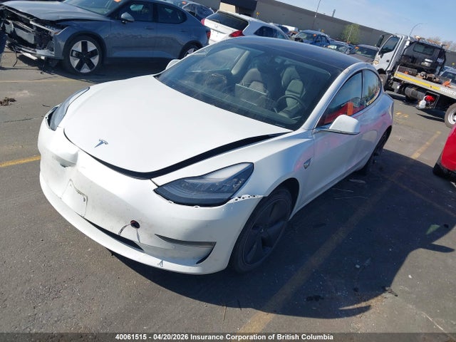 2020 Tesla Model 3 მანქანა იყიდება აუქციონზე, vin: 5YJ3E1EA1LF808692, აუქციონის ნომერი: 40061515