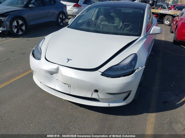 2020 Tesla Model 3 მანქანა იყიდება აუქციონზე, vin: 5YJ3E1EA1LF808692, აუქციონის ნომერი: 40061515
