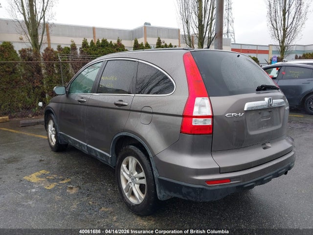 Продаж на аукціоні авто 2010 Honda Cr-v, vin: 5J6RE4H53AL802410, номер лоту: 40061686