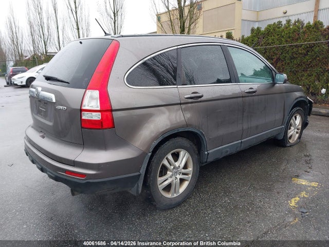Продаж на аукціоні авто 2010 Honda Cr-v, vin: 5J6RE4H53AL802410, номер лоту: 40061686