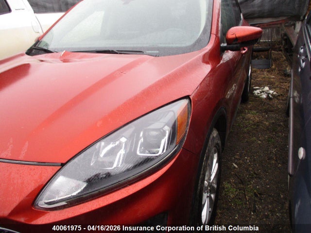 2020 Ford Escape Se მანქანა იყიდება აუქციონზე, vin: 1FMCU9G62LUA17908, აუქციონის ნომერი: 40061975