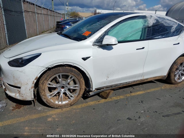 40060103 :رقم المزاد ، LRWYGDFD4PC967782 vin ، 2023 Tesla Model Y مزاد بيع