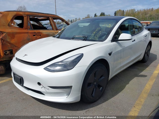 Tesla MODEL 3 2023 5YJ3E1EAXPF401797 Image 2