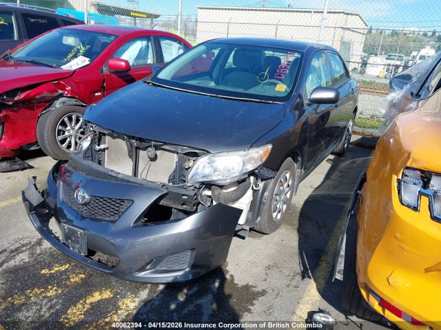 2009 Toyota Corolla S/le/xle მანქანა იყიდება აუქციონზე, vin: 2T1BU40E49C146937, აუქციონის ნომერი: 40062394
