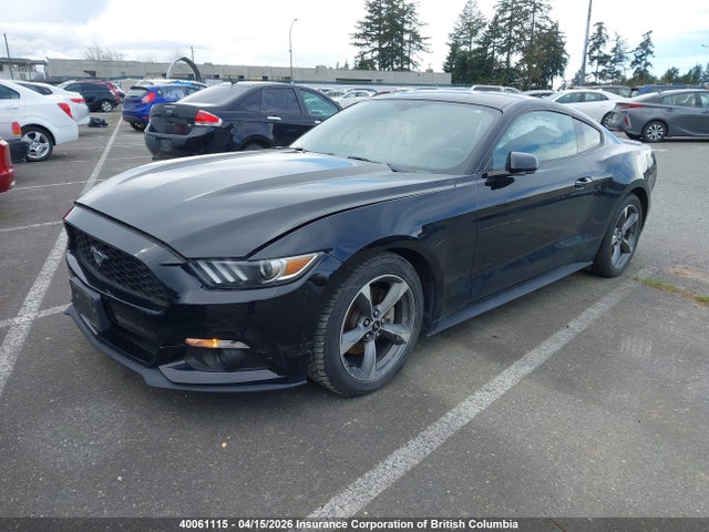 1FA6P8AM4H5299437 Ford Mustang