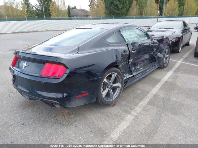 1FA6P8AM4H5299437 Ford Mustang