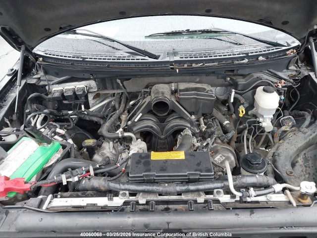 Продаж на аукціоні авто 2010 Ford F150 Supercrew, vin: 1FTFW1EV1AFB63242, номер лоту: 40060068