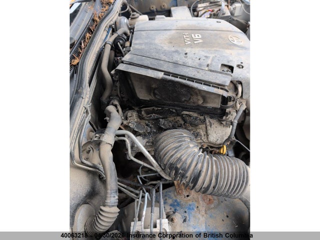 2008 Toyota Tacoma Access Cab მანქანა იყიდება აუქციონზე, vin: 5TEUU42N68Z578458, აუქციონის ნომერი: 40063218