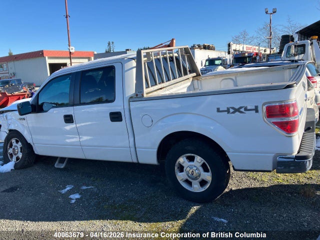 2013 Ford F150 მანქანა იყიდება აუქციონზე, vin: 1FTFW1EF4DFD29086, აუქციონის ნომერი: 40063679