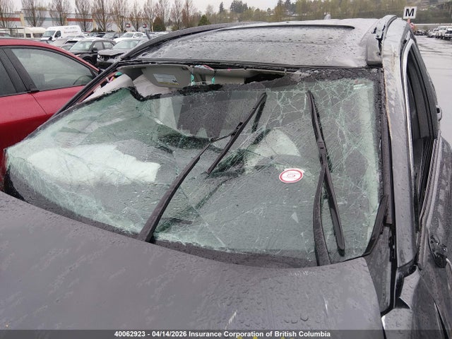 2T3RWRFV2SW283173 Toyota Rav4 Xle/woodland Edition