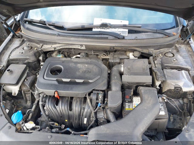 5NPE34AF6KH794239 Hyundai Sonata Limited/sel/sport