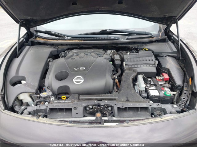 Продажа на аукционе авто 2010 Nissan Maxima S/sv, vin: 1N4AA5AP2AC836599, номер лота: 40064164