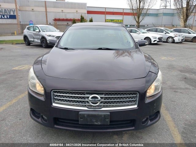 Продажа на аукционе авто 2010 Nissan Maxima S/sv, vin: 1N4AA5AP2AC836599, номер лота: 40064164
