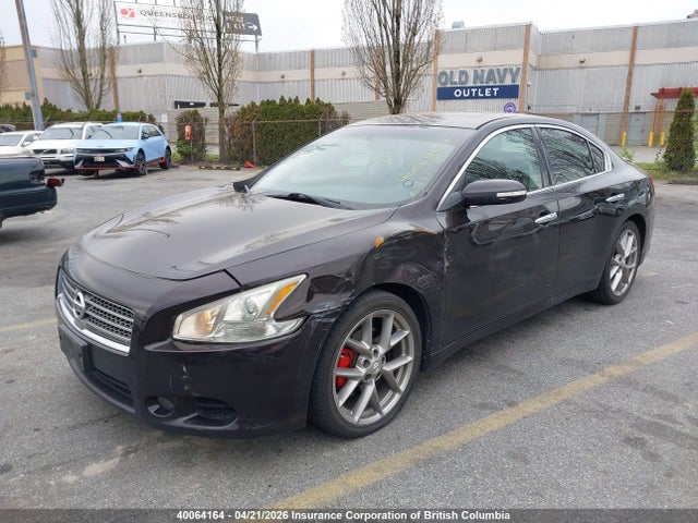 Продажа на аукционе авто 2010 Nissan Maxima S/sv, vin: 1N4AA5AP2AC836599, номер лота: 40064164