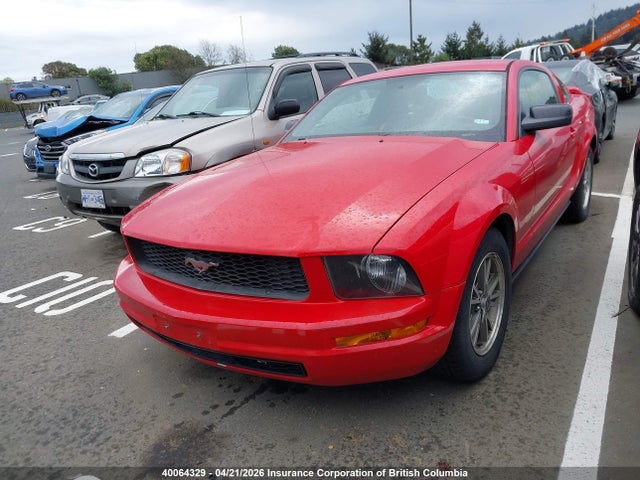 Продажа на аукционе авто 2005 Ford Mustang, vin: 1ZVFT80N055172273, номер лота: 40064329