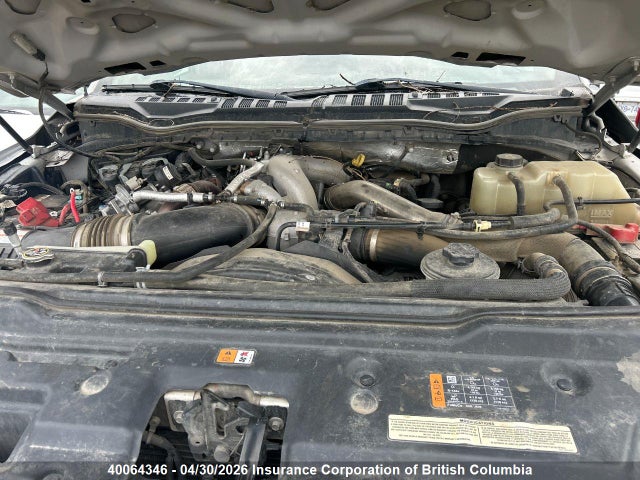 40064346 :رقم المزاد ، 1FT8W3BTXLEC08100 vin ، 2020 Ford F350 مزاد بيع