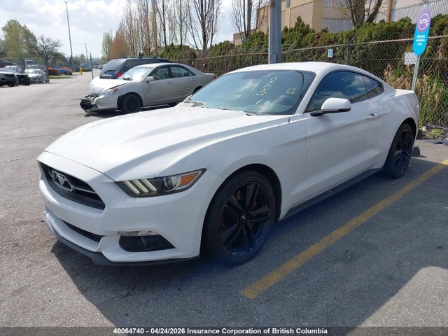 40064740 :رقم المزاد ، 1FA6P8TH1F5393885 vin ، 2015 Ford Mustang مزاد بيع