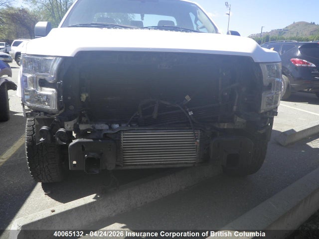 Ford F150 2016 1FTMF1CP0GKE87231 Image 8