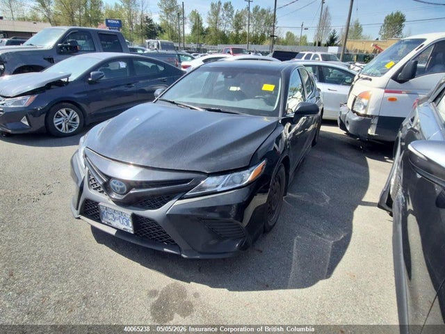40065238 :رقم المزاد ، 4T1B21HK6LU522784 vin ، 2020 Toyota Camry مزاد بيع
