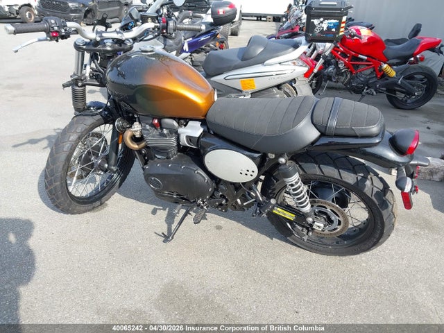40065242 :رقم المزاد ، SMTD44G70RTBS9985 vin ، 2024 Triumph Motorcycle Scrambler 900 مزاد بيع