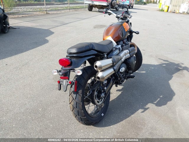 40065242 :رقم المزاد ، SMTD44G70RTBS9985 vin ، 2024 Triumph Motorcycle Scrambler 900 مزاد بيع