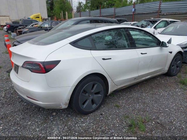 Продажа на аукционе авто 2023 Tesla Model 3 Rwd, vin: LRW3E1FA1PC933514, номер лота: 40065414