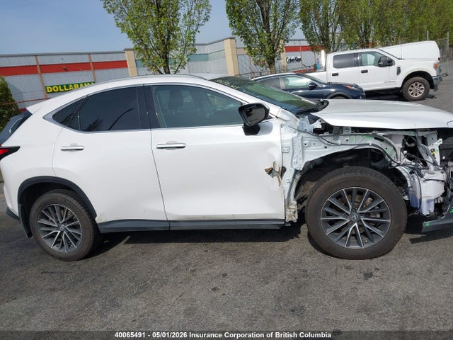 2022 Lexus Nx 250 მანქანა იყიდება აუქციონზე, vin: 2T2ADCEZ7NC002029, აუქციონის ნომერი: 40065491
