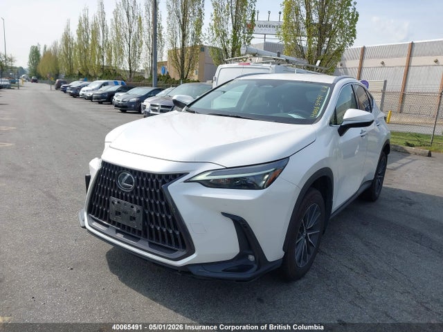 2022 Lexus Nx 250 მანქანა იყიდება აუქციონზე, vin: 2T2ADCEZ7NC002029, აუქციონის ნომერი: 40065491