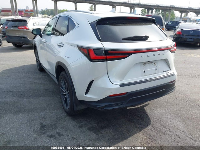 2022 Lexus Nx 250 მანქანა იყიდება აუქციონზე, vin: 2T2ADCEZ7NC002029, აუქციონის ნომერი: 40065491