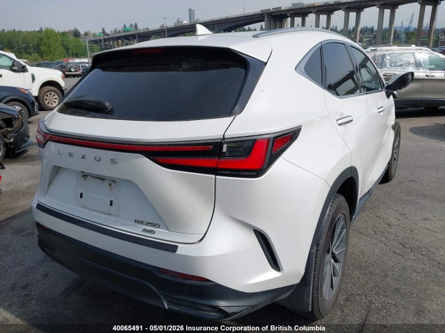 2022 Lexus Nx 250 მანქანა იყიდება აუქციონზე, vin: 2T2ADCEZ7NC002029, აუქციონის ნომერი: 40065491