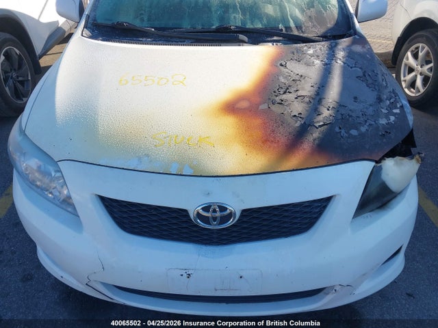 2009 Toyota Corolla S/le/xle მანქანა იყიდება აუქციონზე, vin: 2T1BU40E39C123973, აუქციონის ნომერი: 40065502